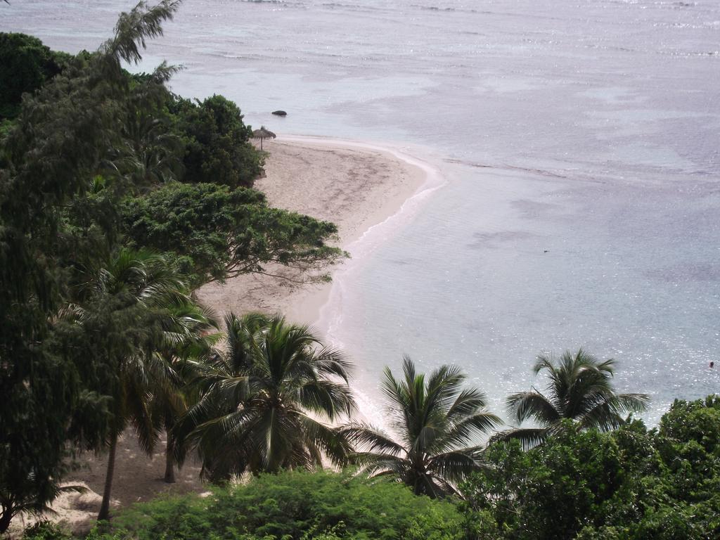 L'Oiseau Du Paradis Vue Mer Studio A Saint Francois A 100 M De La Plage Bilik gambar